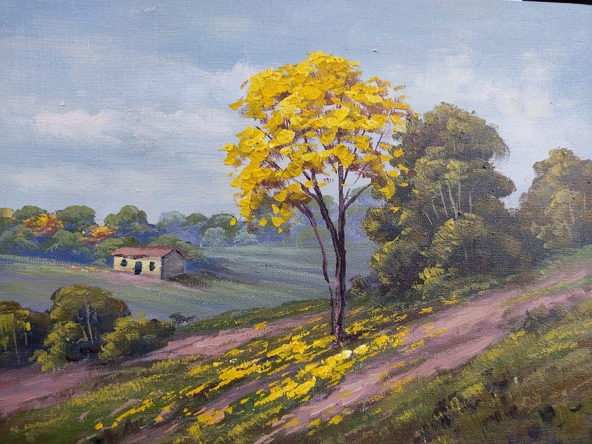 Ipê amarelo florido no campo com casinha