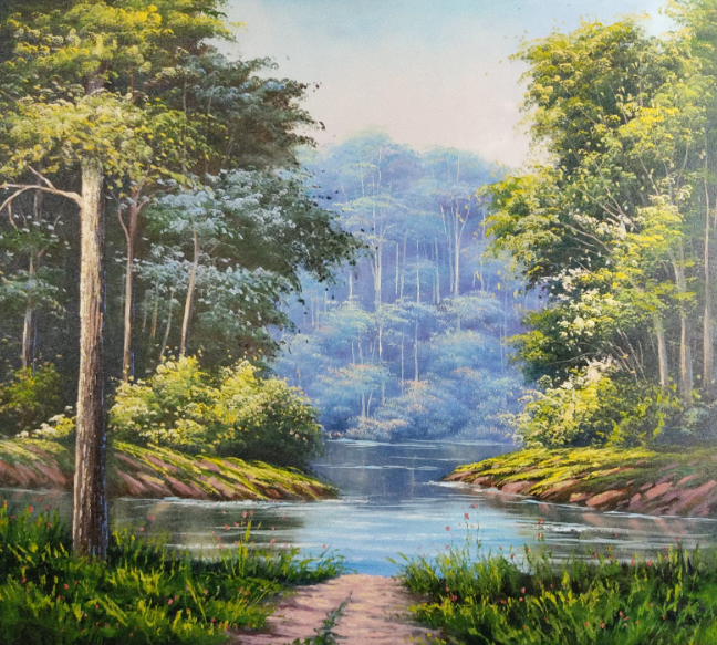 Rio tranquilo em floresta com profundidade